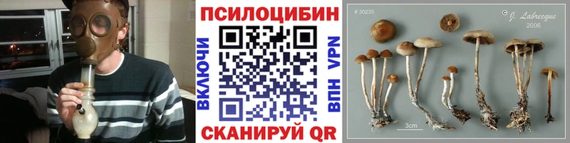 дарнет шоп Лодейное Поле hydra ССЫЛКА Псилоцибиновые грибы ЛСД